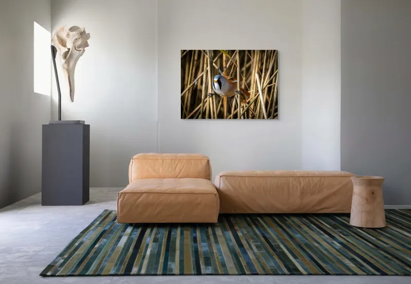 Tablou Canvas, "Păsăre în stufăriș de toamnă", Pasăre, Trestie, Muștar, Panică, Penaj, Soare, Ascuns, Natură, 100 x 70 cm – poza 7