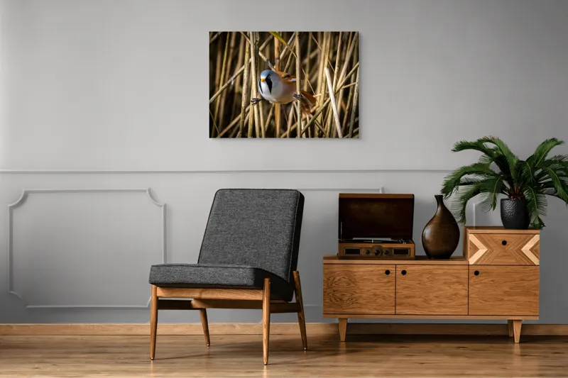 Tablou Canvas, "Păsăre în stufăriș de toamnă", Pasăre, Trestie, Muștar, Panică, Penaj, Soare, Ascuns, Natură, 100 x 70 cm – poza 8