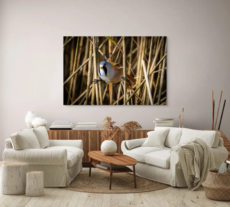 Tablou Canvas, "Păsăre în stufăriș de toamnă", Pasăre, Trestie, Muștar, Panică, Penaj, Soare, Ascuns, Natură, 150 x 100 cm – poza 3