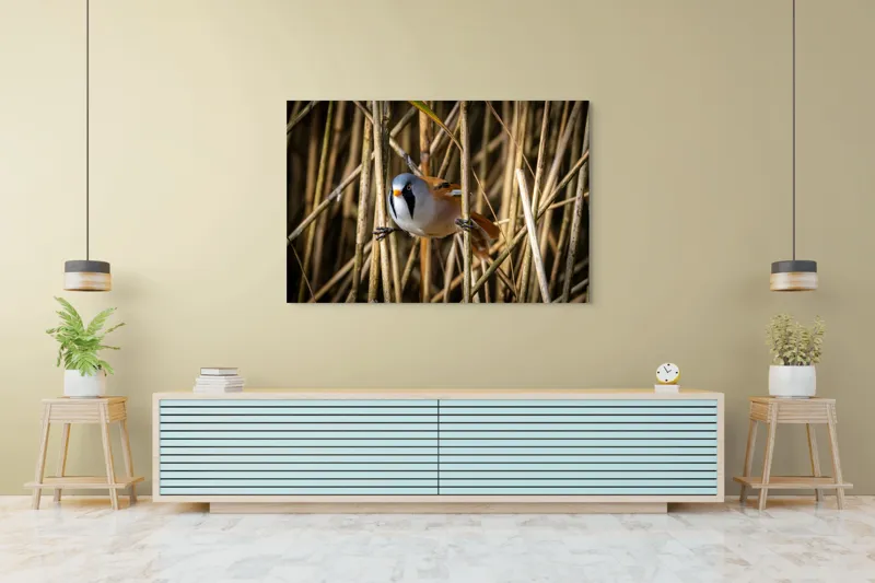 Tablou Canvas, "Păsăre în stufăriș de toamnă", Pasăre, Trestie, Muștar, Panică, Penaj, Soare, Ascuns, Natură, 150 x 100 cm – poza 6
