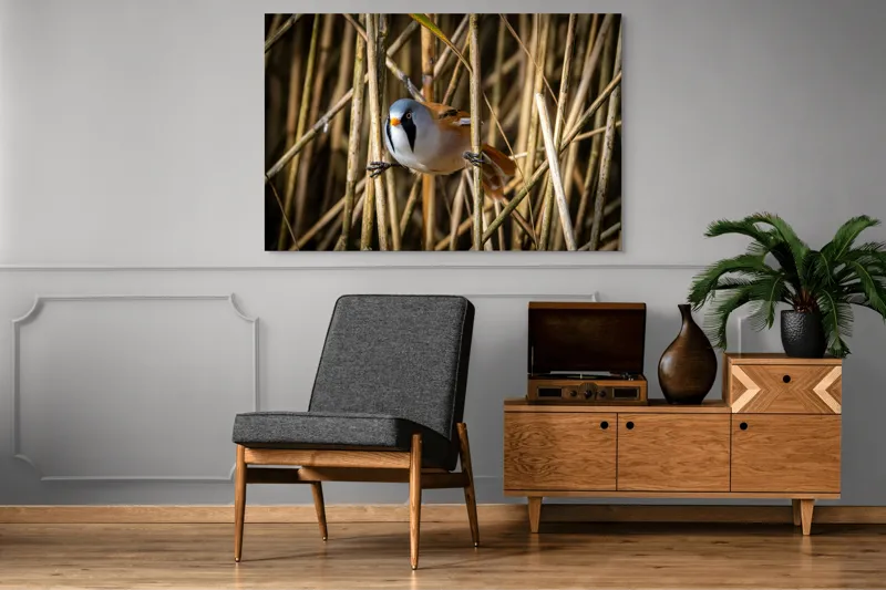 Tablou Canvas, "Păsăre în stufăriș de toamnă", Pasăre, Trestie, Muștar, Panică, Penaj, Soare, Ascuns, Natură, 150 x 100 cm – poza 8