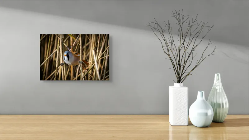 Tablou Canvas, "Păsăre în stufăriș de toamnă", Pasăre, Trestie, Muștar, Panică, Penaj, Soare, Ascuns, Natură, 39 x 26 cm – poza 8