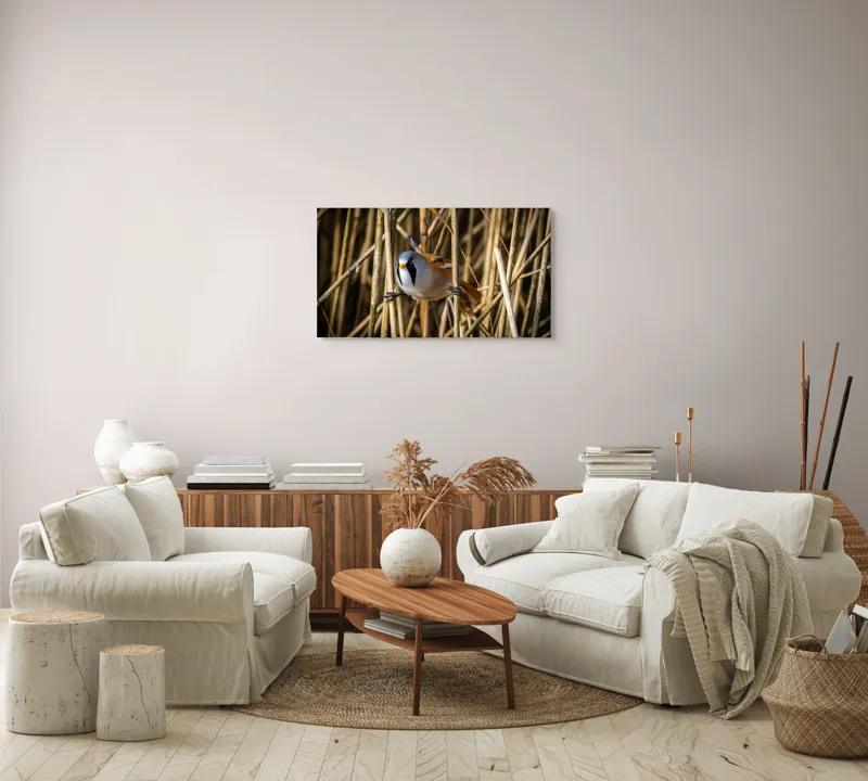 Tablou Canvas, "Păsăre în stufăriș de toamnă", Pasăre, Trestie, Muștar, Panică, Penaj, Soare, Ascuns, Natură, 90 x 50 cm – poza 4
