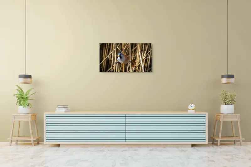 Tablou Canvas, "Păsăre în stufăriș de toamnă", Pasăre, Trestie, Muștar, Panică, Penaj, Soare, Ascuns, Natură, 90 x 50 cm – poza 5
