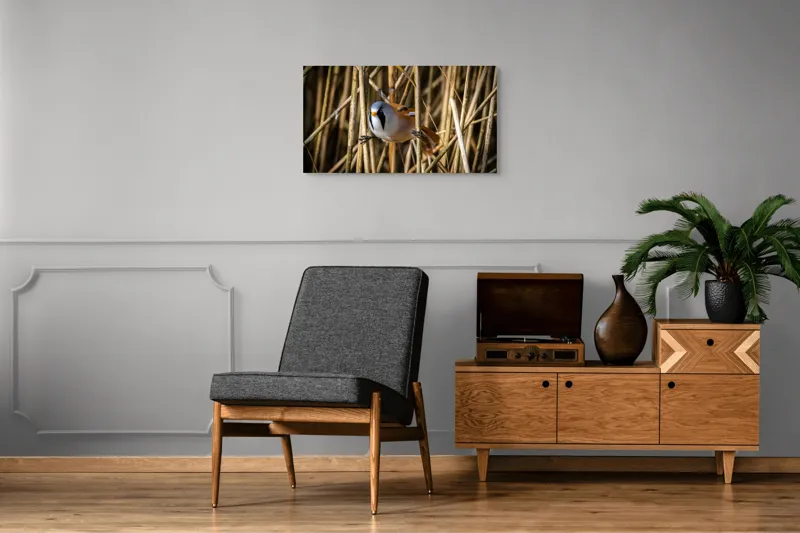 Tablou Canvas, "Păsăre în stufăriș de toamnă", Pasăre, Trestie, Muștar, Panică, Penaj, Soare, Ascuns, Natură, 90 x 50 cm – poza 6