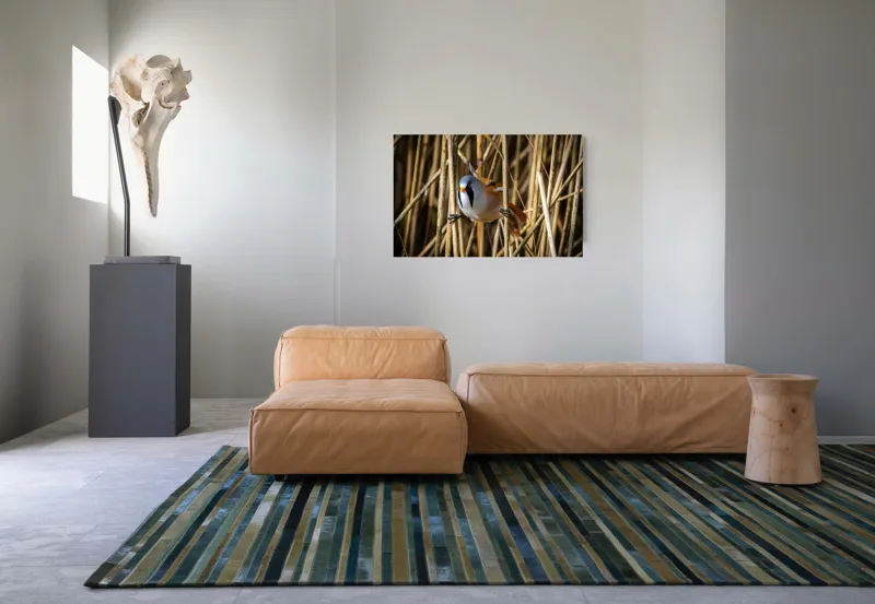 Tablou Canvas, "Păsăre în stufăriș de toamnă", Pasăre, Trestie, Muștar, Panică, Penaj, Soare, Ascuns, Natură, 90 x 50 cm – poza 8