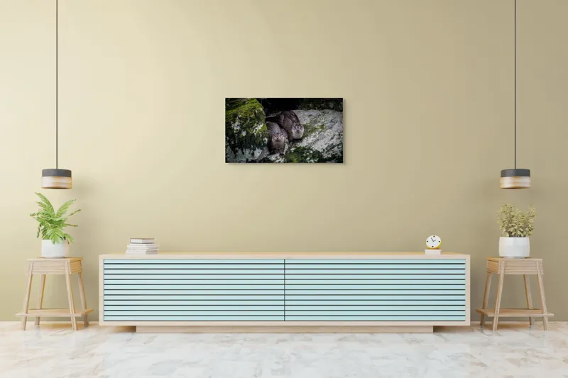 Tablou Canvas, "Vidre curioase pe stânci verzi", Otters, Moss, Rocks, Cavity, Wet, Curious, Nature, Wildlife, 90 x 50 cm – poza 5