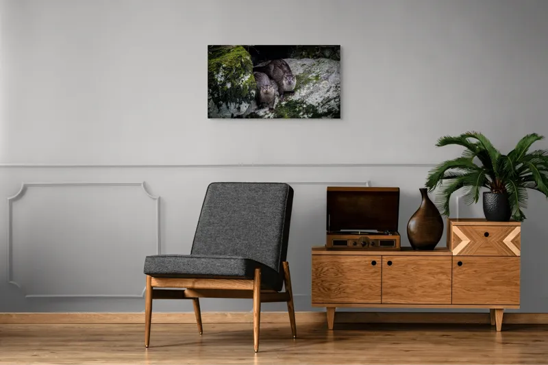 Tablou Canvas, "Vidre curioase pe stânci verzi", Otters, Moss, Rocks, Cavity, Wet, Curious, Nature, Wildlife, 90 x 50 cm – poza 6