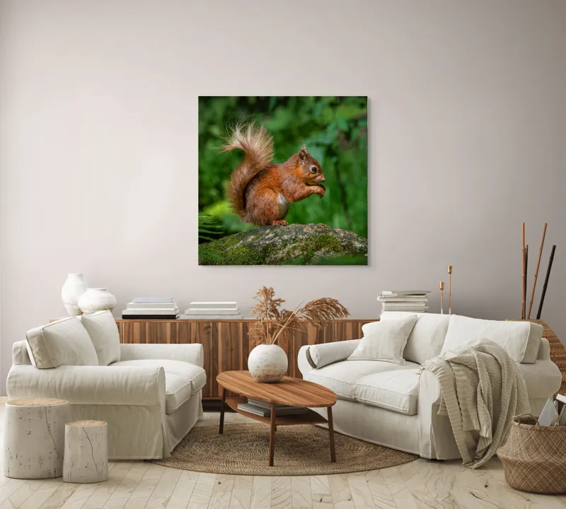 Tablou Canvas, "Veverița pe mușchiul pădurii verzi", Șoricel, Ghindă, Blănuri, Verdeață, Copaci, Pădure, Lumină, Agilitate, 100 x 100 cm – poza 3