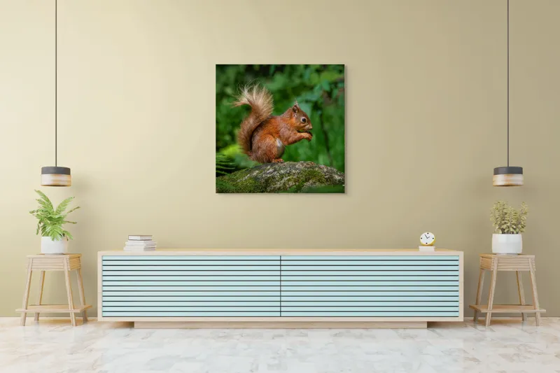Tablou Canvas, "Veverița pe mușchiul pădurii verzi", Șoricel, Ghindă, Blănuri, Verdeață, Copaci, Pădure, Lumină, Agilitate, 100 x 100 cm – poza 5