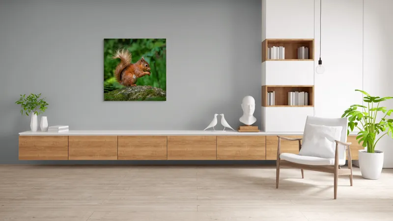 Tablou Canvas, "Veverița pe mușchiul pădurii verzi", Șoricel, Ghindă, Blănuri, Verdeață, Copaci, Pădure, Lumină, Agilitate, 100 x 100 cm – poza 8