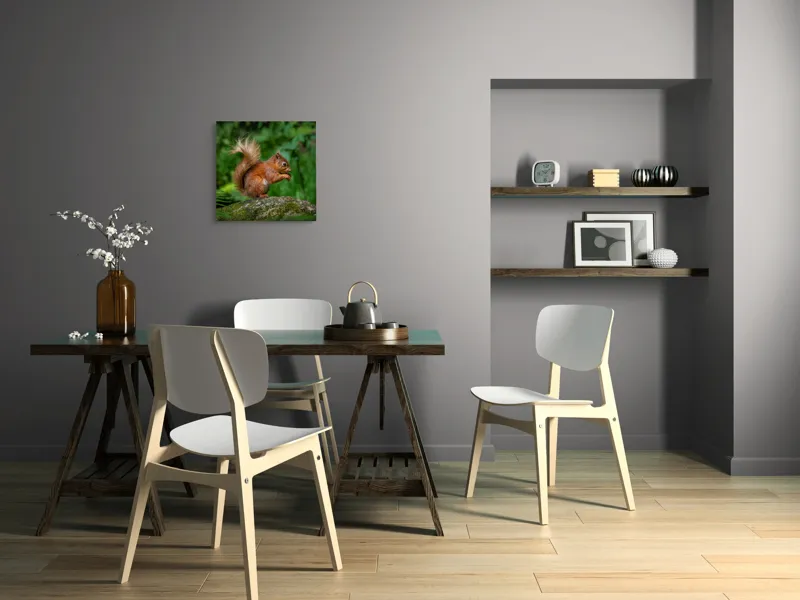 Tablou Canvas, "Veverița pe mușchiul pădurii verzi", Șoricel, Ghindă, Blănuri, Verdeață, Copaci, Pădure, Lumină, Agilitate, 50 x 50 cm – poza 8
