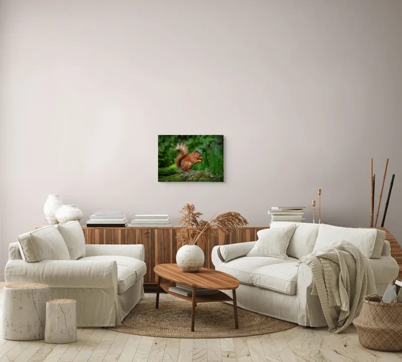 Tablou Canvas, "Veverița pe mușchiul pădurii verzi", Șoricel, Ghindă, Blănuri, Verdeață, Copaci, Pădure, Lumină, Agilitate, 54 x 39 cm – poza 5