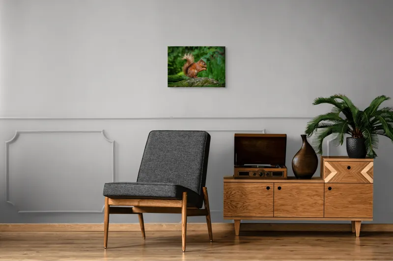 Tablou Canvas, "Veverița pe mușchiul pădurii verzi", Șoricel, Ghindă, Blănuri, Verdeață, Copaci, Pădure, Lumină, Agilitate, 54 x 39 cm – poza 7