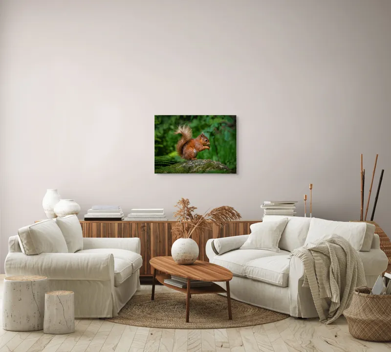 Tablou Canvas, "Veverița pe mușchiul pădurii verzi", Șoricel, Ghindă, Blănuri, Verdeață, Copaci, Pădure, Lumină, Agilitate, 70 x 50 cm – poza 6
