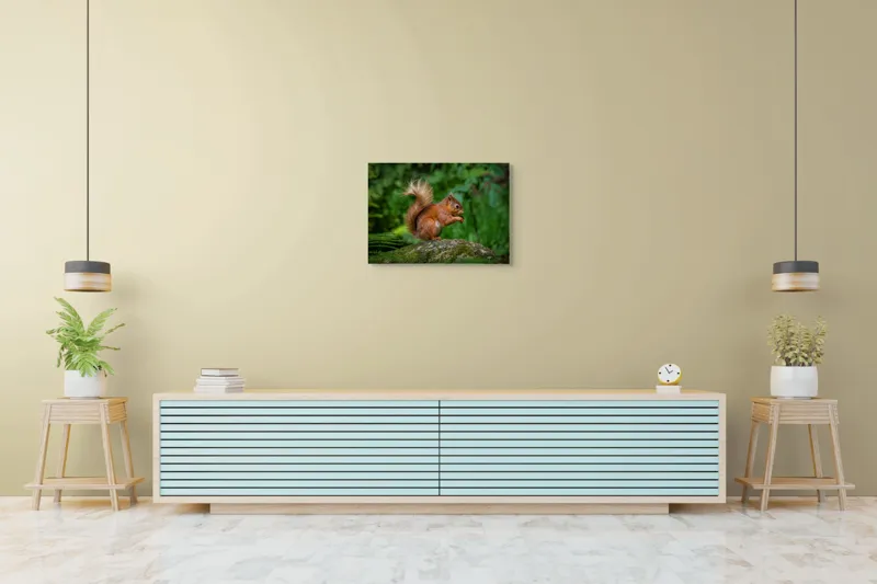 Tablou Canvas, "Veverița pe mușchiul pădurii verzi", Șoricel, Ghindă, Blănuri, Verdeață, Copaci, Pădure, Lumină, Agilitate, 70 x 50 cm – poza 7