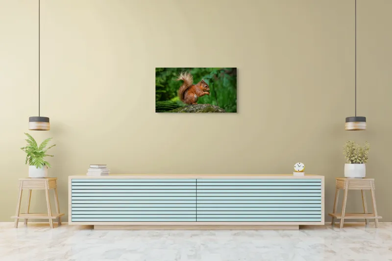 Tablou Canvas, "Veverița pe mușchiul pădurii verzi", Șoricel, Ghindă, Blănuri, Verdeață, Copaci, Pădure, Lumină, Agilitate, 90 x 50 cm – poza 5