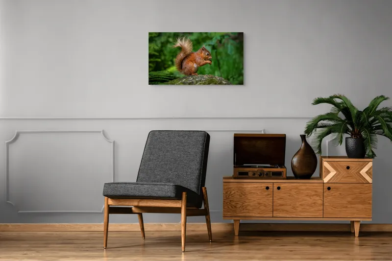 Tablou Canvas, "Veverița pe mușchiul pădurii verzi", Șoricel, Ghindă, Blănuri, Verdeață, Copaci, Pădure, Lumină, Agilitate, 90 x 50 cm – poza 6