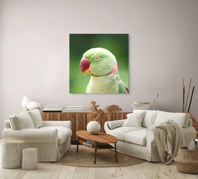 Tablou Canvas, "Papagalul fermecător în lumina dimineții", Papagal, Verde, Penaj, Ochi, Cioc, Roz, Fundal, Neted, Vibrant, Elegant, 100 x 100 cm – poza 3