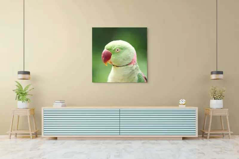 Tablou Canvas, "Papagalul fermecător în lumina dimineții", Papagal, Verde, Penaj, Ochi, Cioc, Roz, Fundal, Neted, Vibrant, Elegant, 100 x 100 cm – poza 5