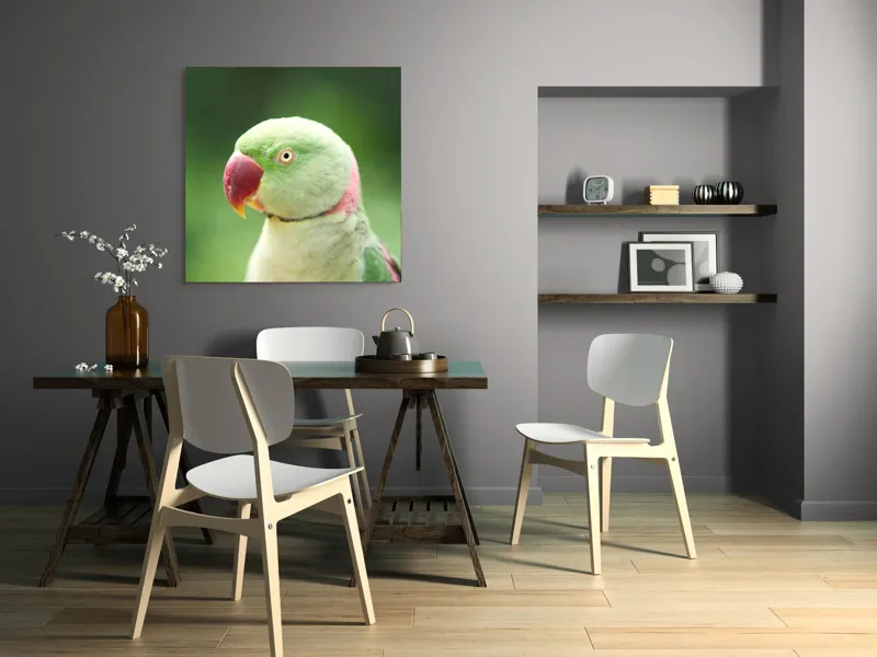 Tablou Canvas, "Papagalul fermecător în lumina dimineții", Papagal, Verde, Penaj, Ochi, Cioc, Roz, Fundal, Neted, Vibrant, Elegant, 100 x 100 cm – poza 6