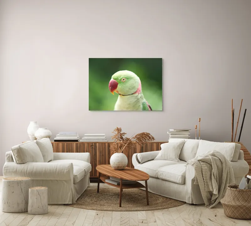 Tablou Canvas, "Papagalul fermecător în lumina dimineții", Papagal, Verde, Penaj, Ochi, Cioc, Roz, Fundal, Neted, Vibrant, Elegant, 100 x 70 cm – poza 3