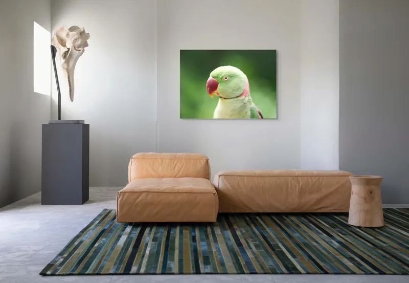 Tablou Canvas, "Papagalul fermecător în lumina dimineții", Papagal, Verde, Penaj, Ochi, Cioc, Roz, Fundal, Neted, Vibrant, Elegant, 100 x 70 cm – poza 7