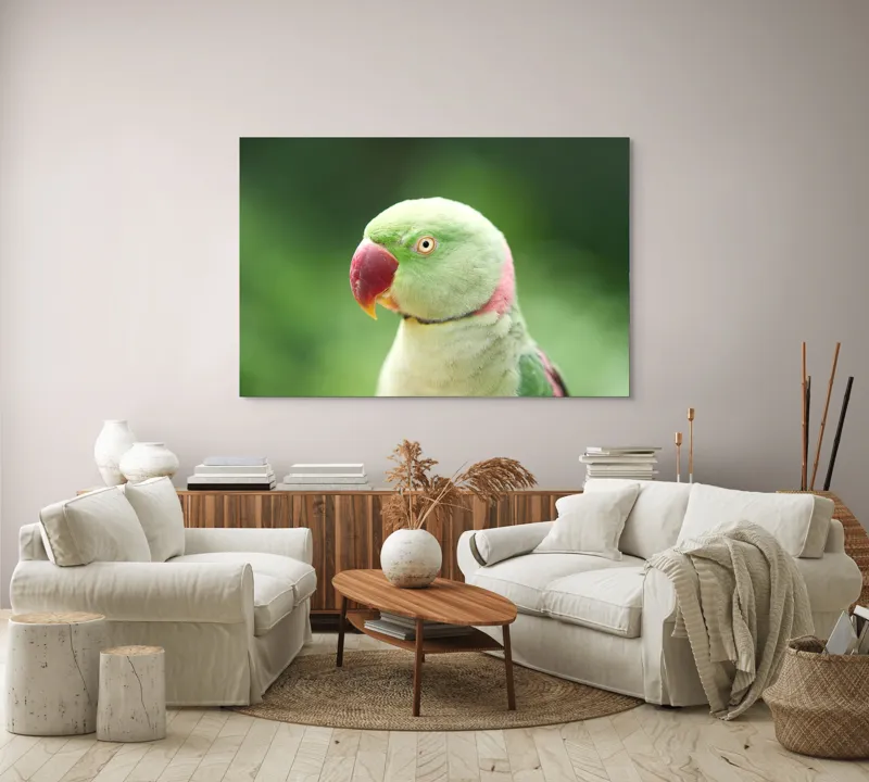 Tablou Canvas, "Papagalul fermecător în lumina dimineții", Papagal, Verde, Penaj, Ochi, Cioc, Roz, Fundal, Neted, Vibrant, Elegant, 150 x 100 cm – poza 3