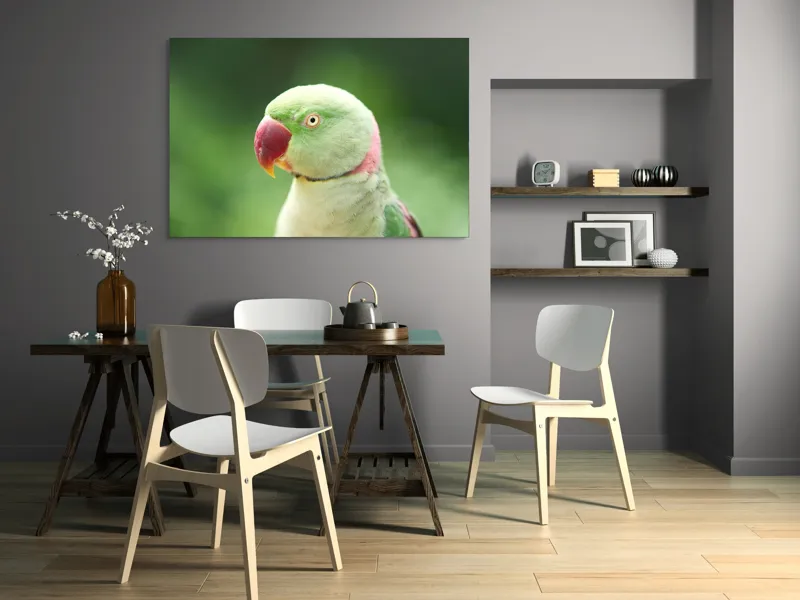 Tablou Canvas, "Papagalul fermecător în lumina dimineții", Papagal, Verde, Penaj, Ochi, Cioc, Roz, Fundal, Neted, Vibrant, Elegant, 150 x 100 cm – poza 5