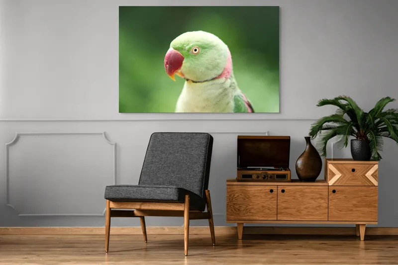 Tablou Canvas, "Papagalul fermecător în lumina dimineții", Papagal, Verde, Penaj, Ochi, Cioc, Roz, Fundal, Neted, Vibrant, Elegant, 150 x 100 cm – poza 8