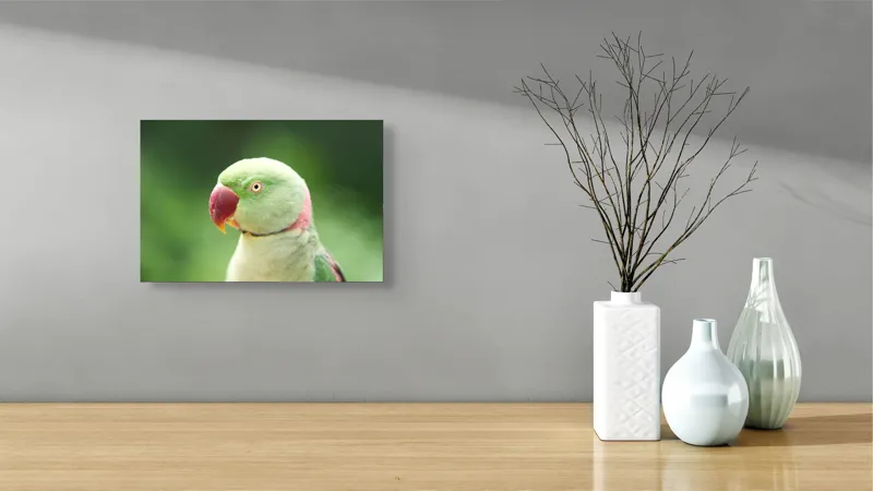 Tablou Canvas, "Papagalul fermecător în lumina dimineții", Papagal, Verde, Penaj, Ochi, Cioc, Roz, Fundal, Neted, Vibrant, Elegant, 39 x 26 cm – poza 8