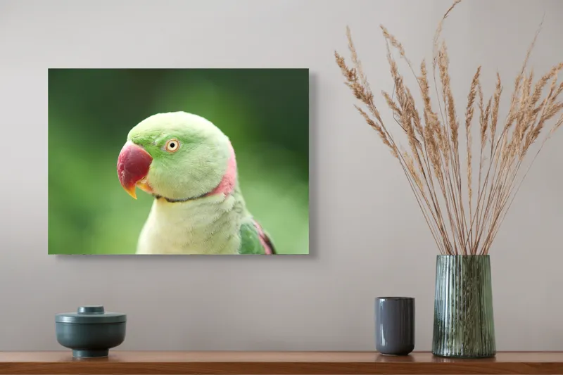 Tablou Canvas, "Papagalul fermecător în lumina dimineții", Papagal, Verde, Penaj, Ochi, Cioc, Roz, Fundal, Neted, Vibrant, Elegant, 54 x 39 cm – poza 4