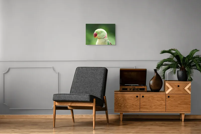 Tablou Canvas, "Papagalul fermecător în lumina dimineții", Papagal, Verde, Penaj, Ochi, Cioc, Roz, Fundal, Neted, Vibrant, Elegant, 54 x 39 cm – poza 7