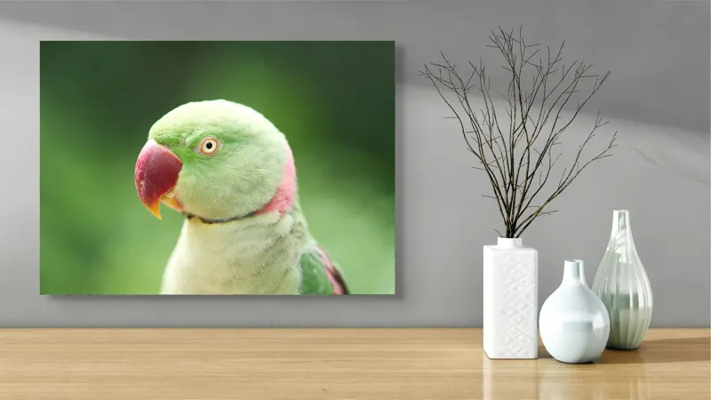 Tablou Canvas, "Papagalul fermecător în lumina dimineții", Papagal, Verde, Penaj, Ochi, Cioc, Roz, Fundal, Neted, Vibrant, Elegant, 70 x 50 cm – poza 3