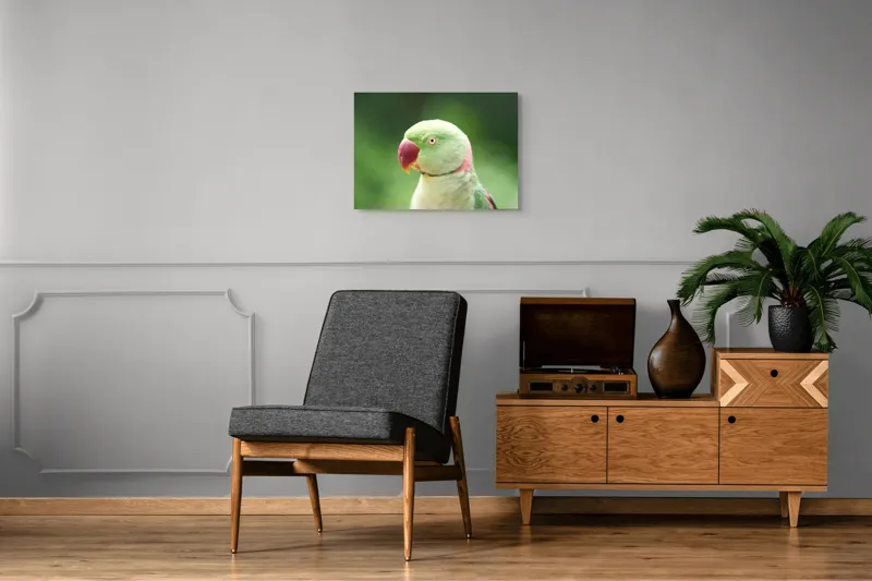 Tablou Canvas, "Papagalul fermecător în lumina dimineții", Papagal, Verde, Penaj, Ochi, Cioc, Roz, Fundal, Neted, Vibrant, Elegant, 70 x 50 cm – poza 4