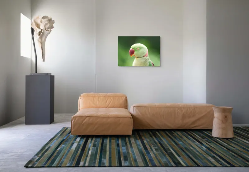 Tablou Canvas, "Papagalul fermecător în lumina dimineții", Papagal, Verde, Penaj, Ochi, Cioc, Roz, Fundal, Neted, Vibrant, Elegant, 70 x 50 cm – poza 8