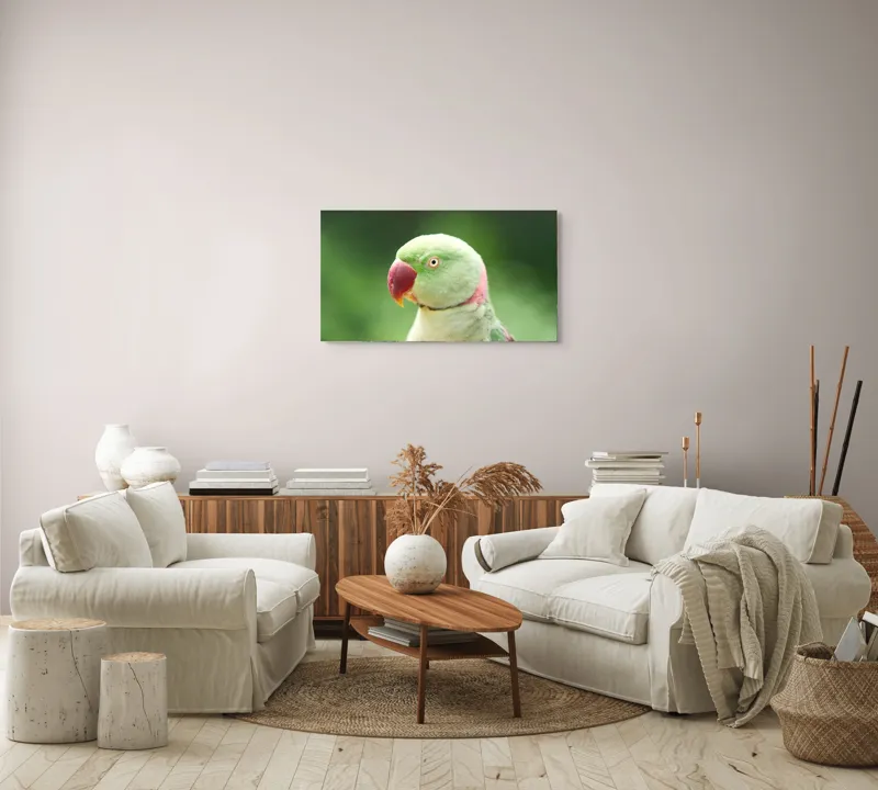 Tablou Canvas, "Papagalul fermecător în lumina dimineții", Papagal, Verde, Penaj, Ochi, Cioc, Roz, Fundal, Neted, Vibrant, Elegant, 90 x 50 cm – poza 4