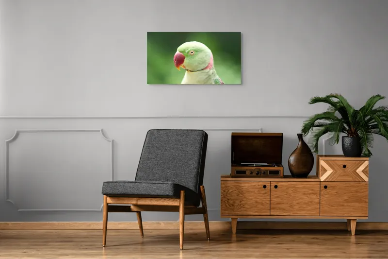 Tablou Canvas, "Papagalul fermecător în lumina dimineții", Papagal, Verde, Penaj, Ochi, Cioc, Roz, Fundal, Neted, Vibrant, Elegant, 90 x 50 cm – poza 6
