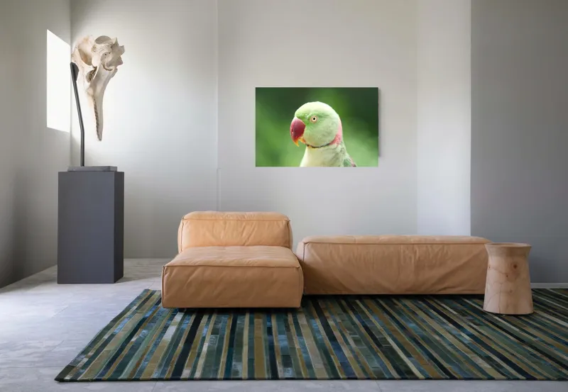 Tablou Canvas, "Papagalul fermecător în lumina dimineții", Papagal, Verde, Penaj, Ochi, Cioc, Roz, Fundal, Neted, Vibrant, Elegant, 90 x 50 cm – poza 8