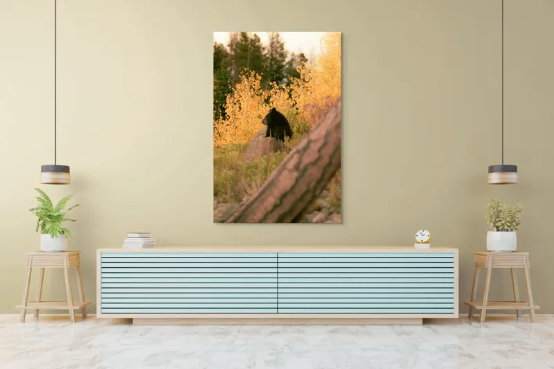 Tablou Canvas, "Ursul toamnei între frunze aurii", Urs, Toamnă, Pădure, Copaci, Frunze, Peisaj, Natură, Trunchi, Stâncă, Liniște, 100 x 150 cm – poza 4