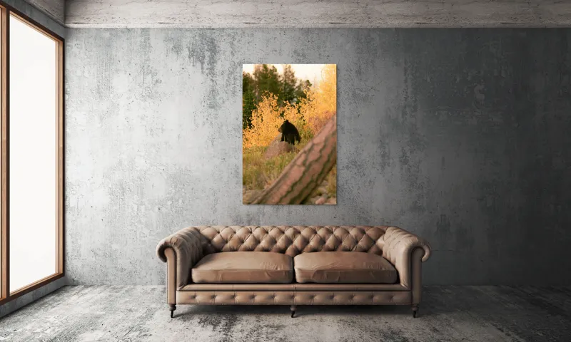 Tablou Canvas, "Ursul toamnei între frunze aurii", Urs, Toamnă, Pădure, Copaci, Frunze, Peisaj, Natură, Trunchi, Stâncă, Liniște, 100 x 150 cm – poza 6