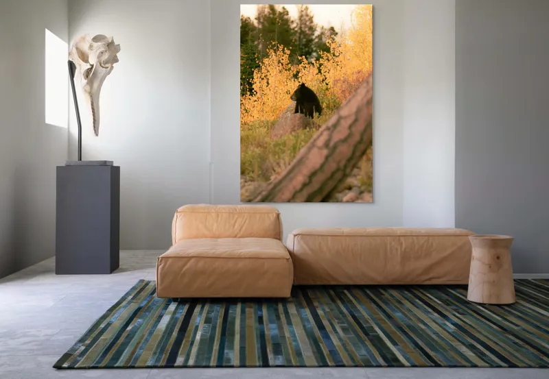 Tablou Canvas, "Ursul toamnei între frunze aurii", Urs, Toamnă, Pădure, Copaci, Frunze, Peisaj, Natură, Trunchi, Stâncă, Liniște, 100 x 150 cm – poza 7