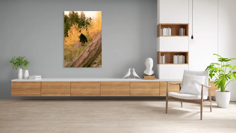 Tablou Canvas, "Ursul toamnei între frunze aurii", Urs, Toamnă, Pădure, Copaci, Frunze, Peisaj, Natură, Trunchi, Stâncă, Liniște, 100 x 150 cm – poza 8