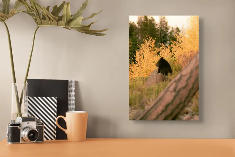 Tablou Canvas, "Ursul toamnei între frunze aurii", Urs, Toamnă, Pădure, Copaci, Frunze, Peisaj, Natură, Trunchi, Stâncă, Liniște, 26 x 39 cm – poza 3