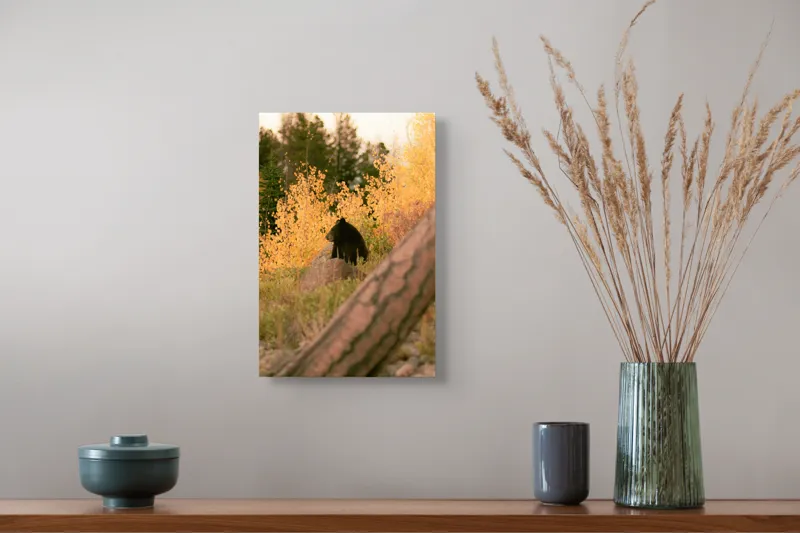 Tablou Canvas, "Ursul toamnei între frunze aurii", Urs, Toamnă, Pădure, Copaci, Frunze, Peisaj, Natură, Trunchi, Stâncă, Liniște, 26 x 39 cm – poza 5