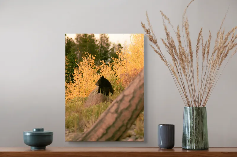 Tablou Canvas, "Ursul toamnei între frunze aurii", Urs, Toamnă, Pădure, Copaci, Frunze, Peisaj, Natură, Trunchi, Stâncă, Liniște, 39 x 54 cm – poza 3