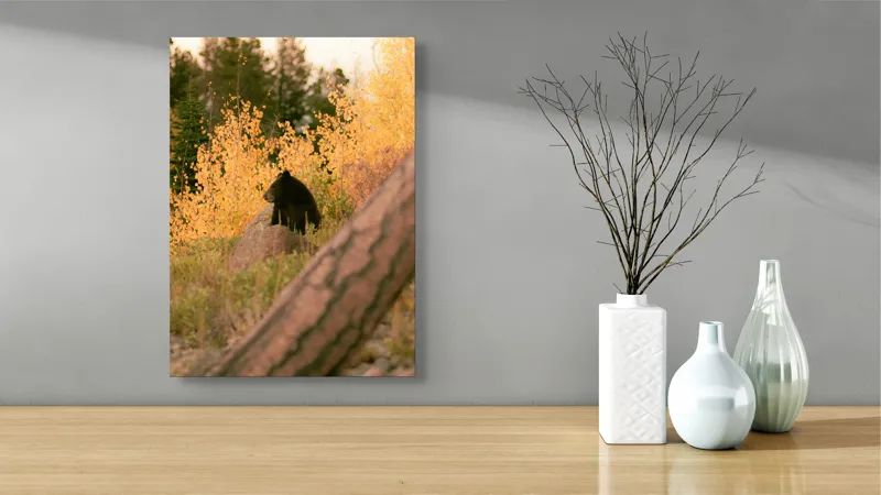 Tablou Canvas, "Ursul toamnei între frunze aurii", Urs, Toamnă, Pădure, Copaci, Frunze, Peisaj, Natură, Trunchi, Stâncă, Liniște, 39 x 54 cm – poza 4