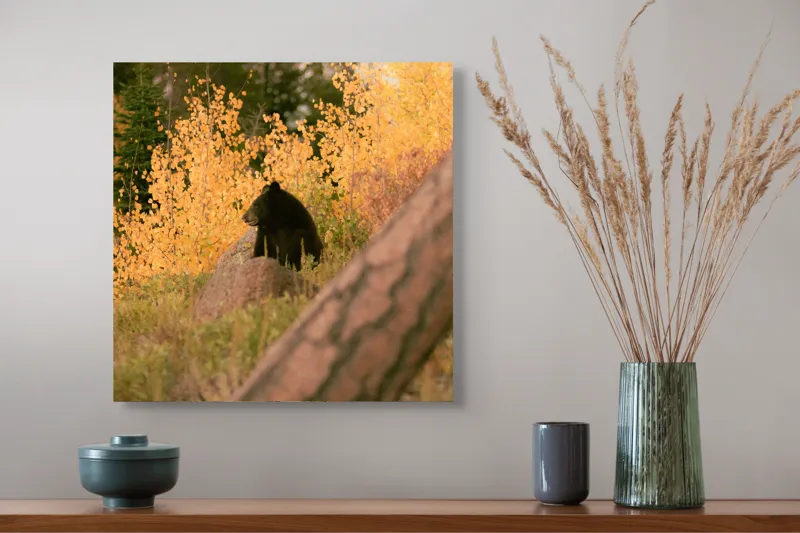 Tablou Canvas, "Ursul toamnei între frunze aurii", Urs, Toamnă, Pădure, Copaci, Frunze, Peisaj, Natură, Trunchi, Stâncă, Liniște, 50 x 50 cm – poza 4