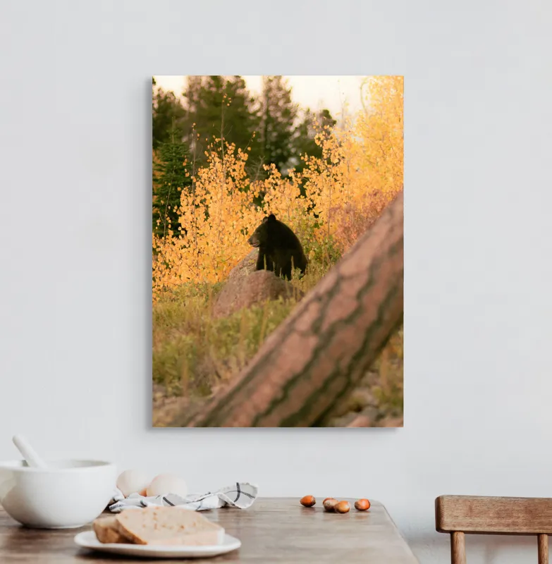 Tablou Canvas, "Ursul toamnei între frunze aurii", Urs, Toamnă, Pădure, Copaci, Frunze, Peisaj, Natură, Trunchi, Stâncă, Liniște, 50 x 70 cm – poza 3