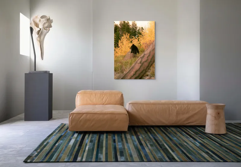 Tablou Canvas, "Ursul toamnei între frunze aurii", Urs, Toamnă, Pădure, Copaci, Frunze, Peisaj, Natură, Trunchi, Stâncă, Liniște, 70 x 100 cm – poza 7
